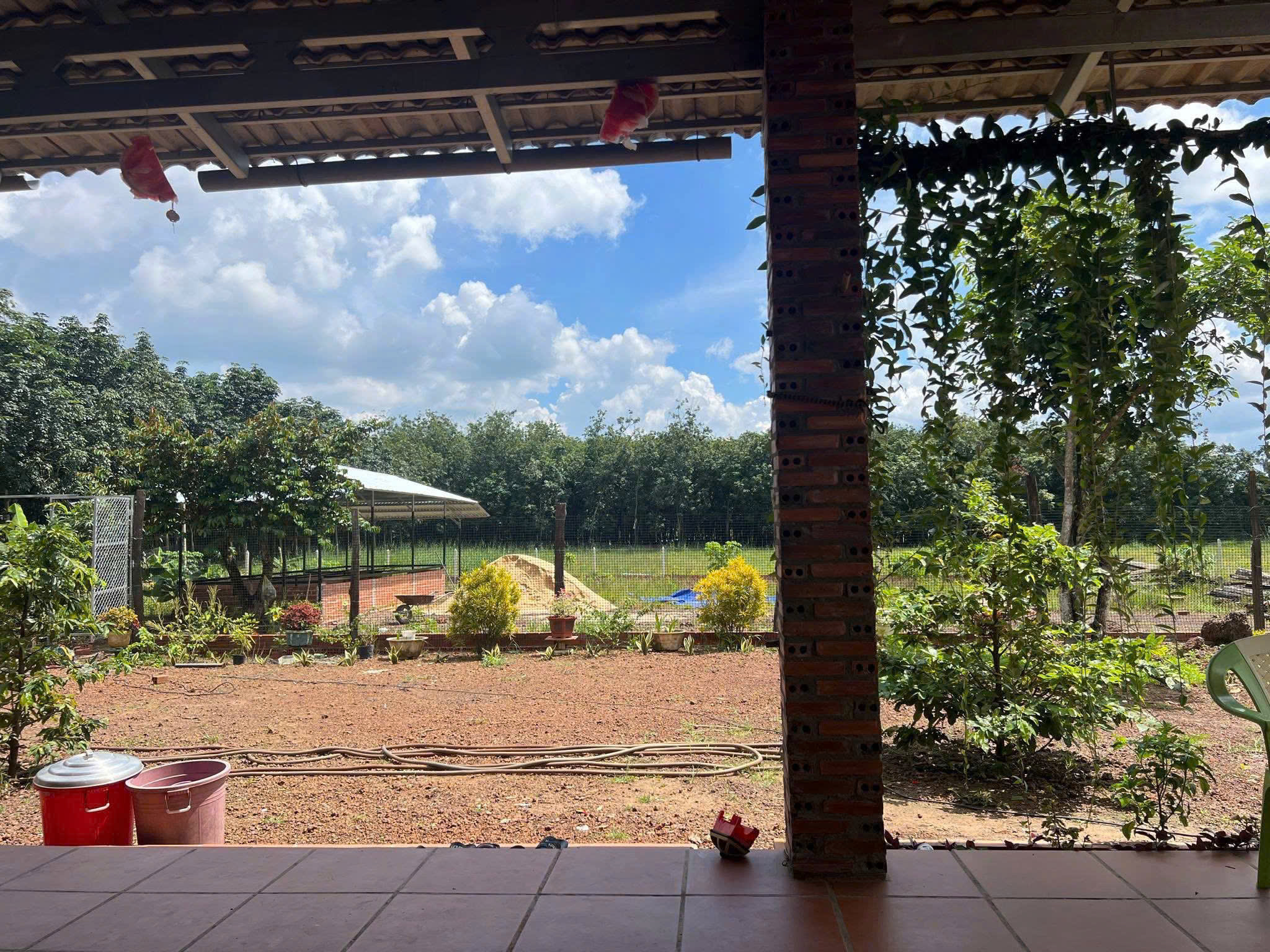 🔊 CẦN BÁN GẤP ĐẤT MẶT TIỀN ĐƯỜNG – PHÚ GIÁO, BÌNH DƯƠNG 🔊 HƠN 2000M2 CÓ THỔ CƯ GIÁ 450TR - Ảnh 1